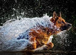 hsoonheb آواتار ها hsoonheb آواتار ها